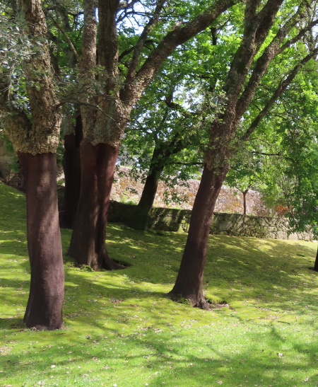 jardins